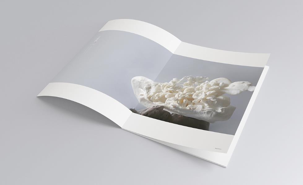 彩頁印刷常規尺寸有哪些？